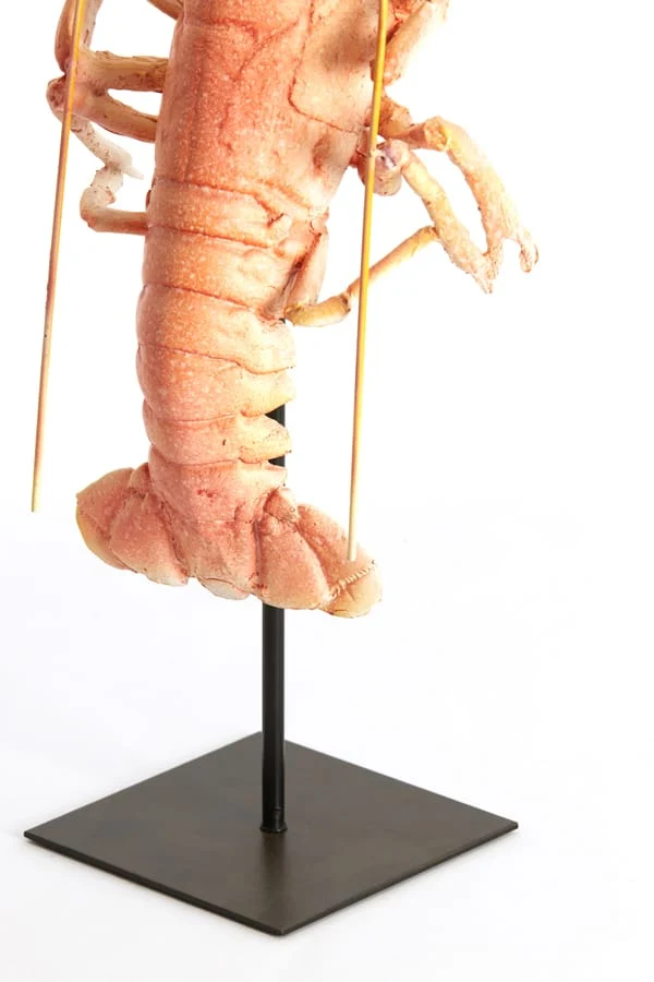 Ornament on base 25x14x56,5 cm LOBSTER light coral