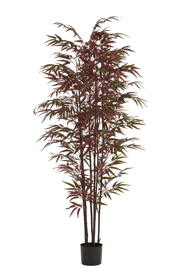 Potted ornament 70x60x180 cm BAMBOO natural+green-red