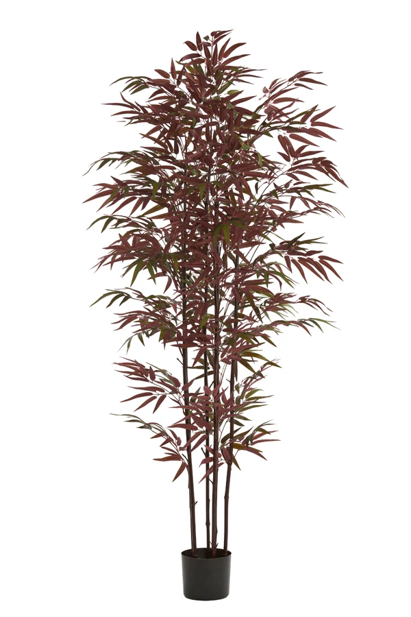 Potted ornament 70x60x180 cm BAMBOO natural+green-red