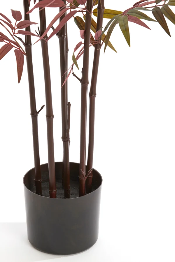 Potted ornament 70x60x180 cm BAMBOO natural+green-red