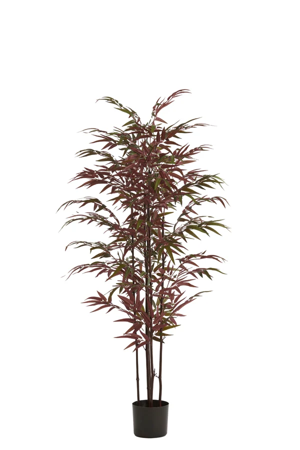 Potted ornament 70x60x150 cm BAMBOO natural+green-red
