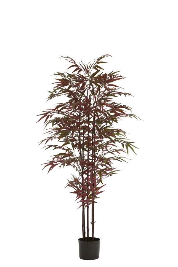 Potted ornament 70x60x150 cm BAMBOO natural+green-red