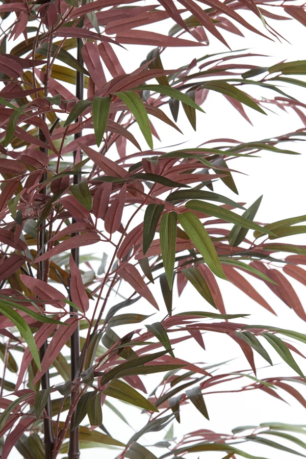 Potted ornament 70x60x150 cm BAMBOO natural+green-red