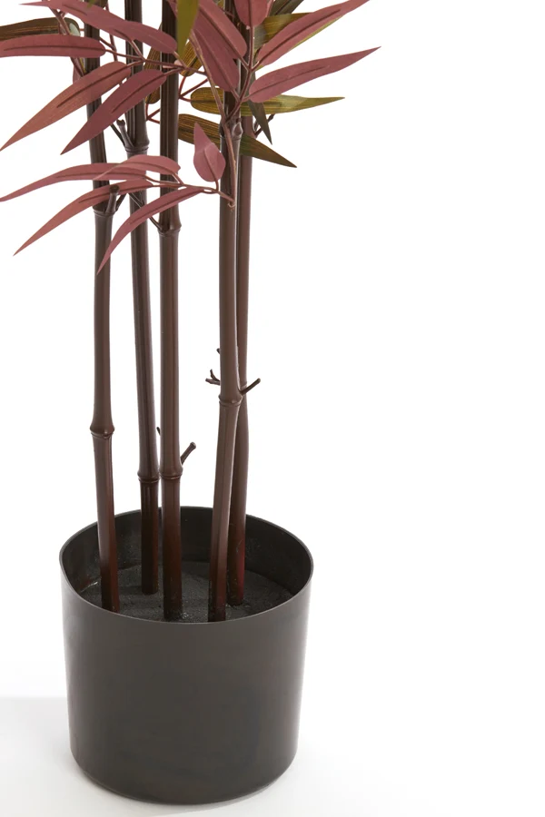 Potted ornament 70x60x120 cm BAMBOO natural+green-red