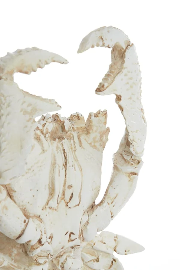 Ornament on base 23x12,5x42,5 cm CRAB off white