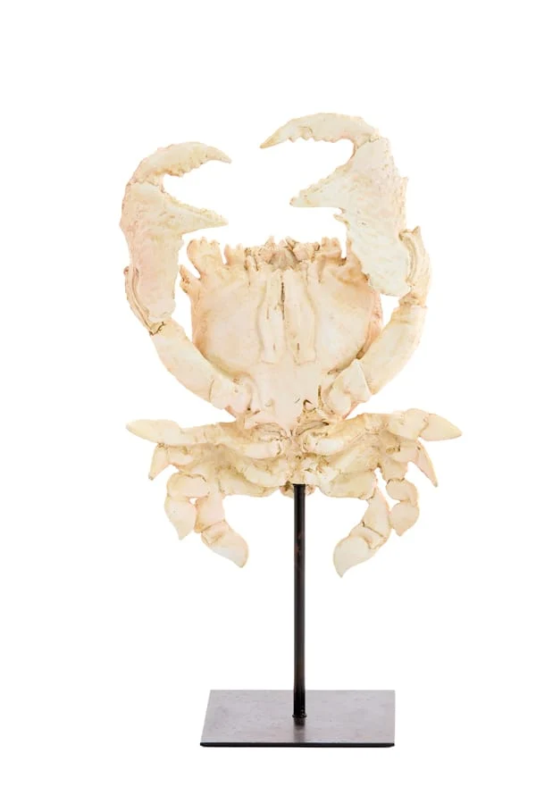 Ornament on base 23x12,5x42,5 cm CRAB light coral
