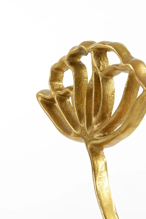 Ornament on base 22x6x36 cm PAPAVERU matt gold