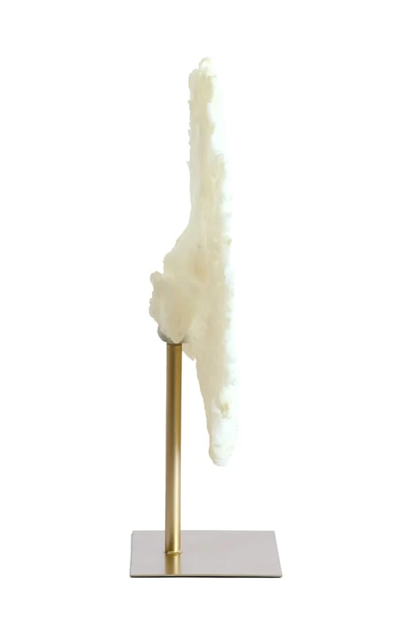 Ornament on base 46x20x69 cm CORAL cream+antique bronze