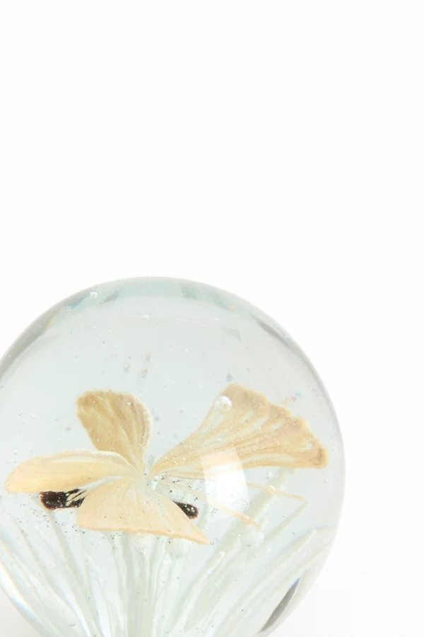 Ornament 8x8 cm BUTTERFLY glass cream