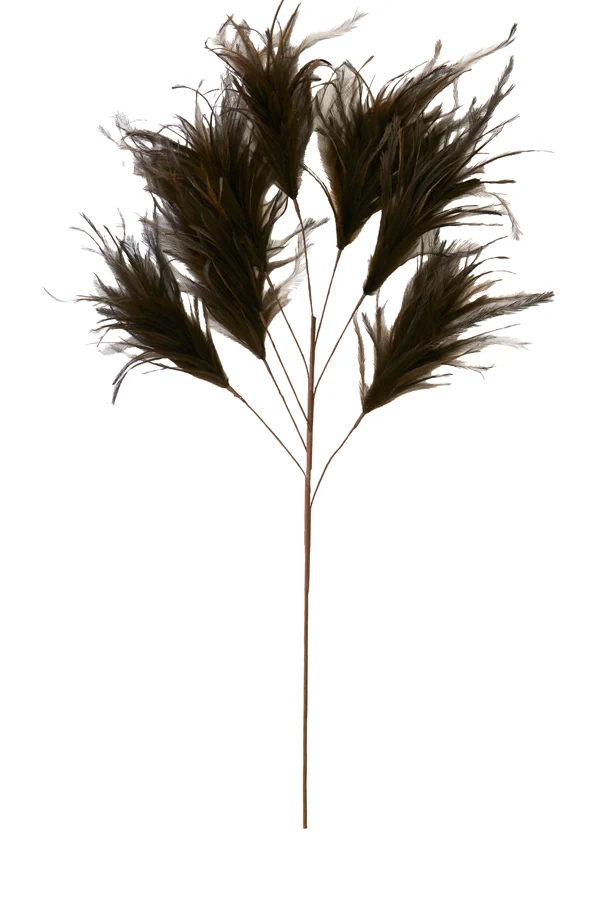 Ornament 8 feathers 95 cm FEATHER dark brown