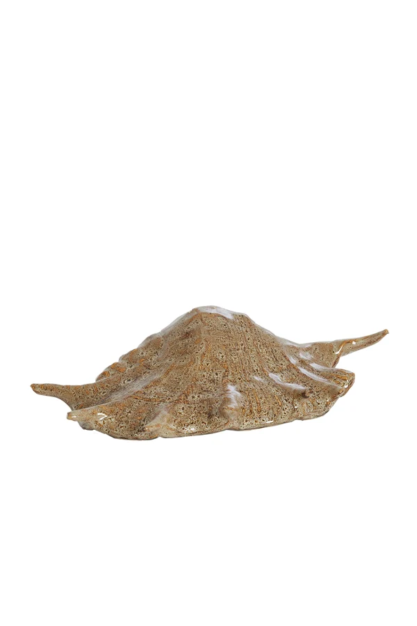 Ornament 26,5x16x7,5 cm SHELL ceramics brown