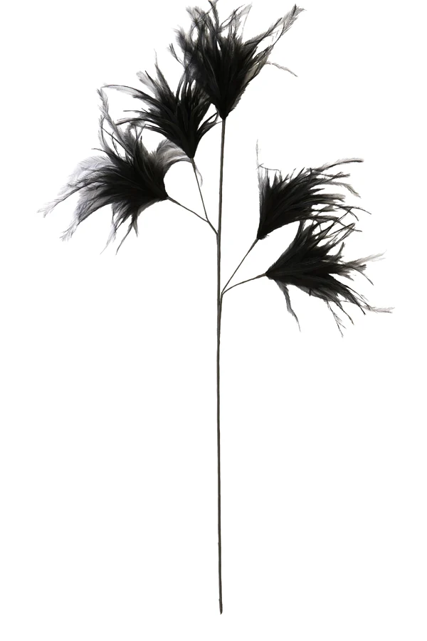 Ornament 5 feathers 95 cm FEATHER black