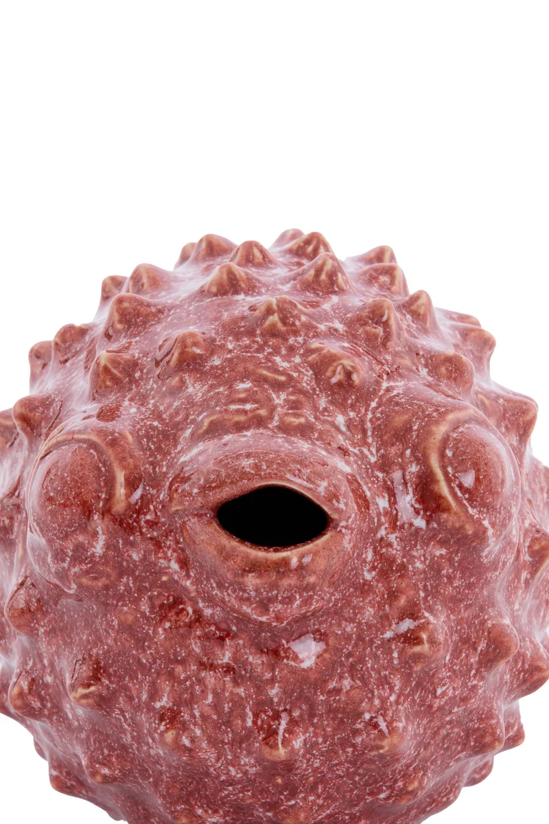 Ornament 25,5x14,5x14 cm FISH ceramics coral