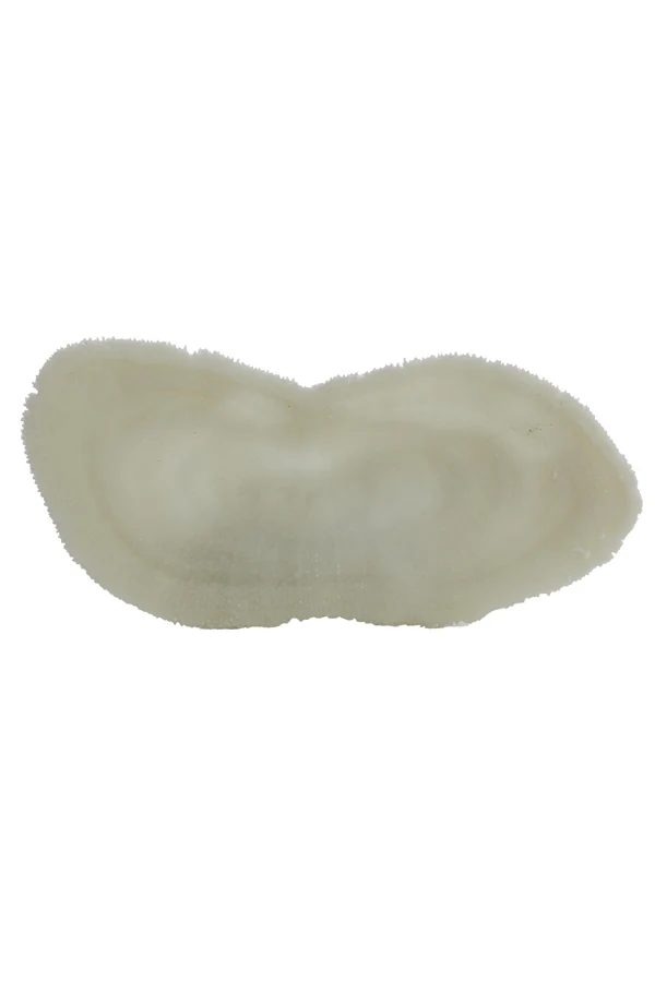 Ornament 14,5x5,5x3 cm CORAL cream
